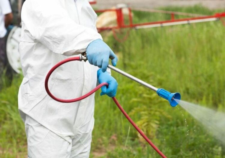 В Девин ще обработват тревните площи срещу бълхи и кърлежи