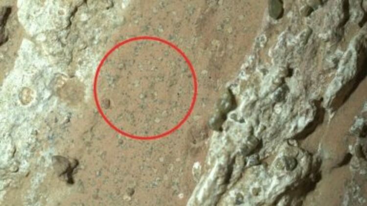 НАСА: Открихме възможни следи от древен живот на Марс