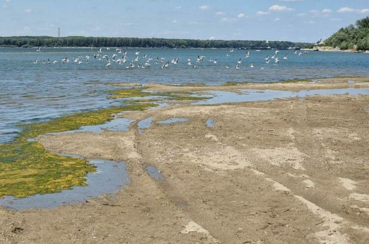 Нивото на Дунав при Лом продължава да спада, в реката са се показали острови