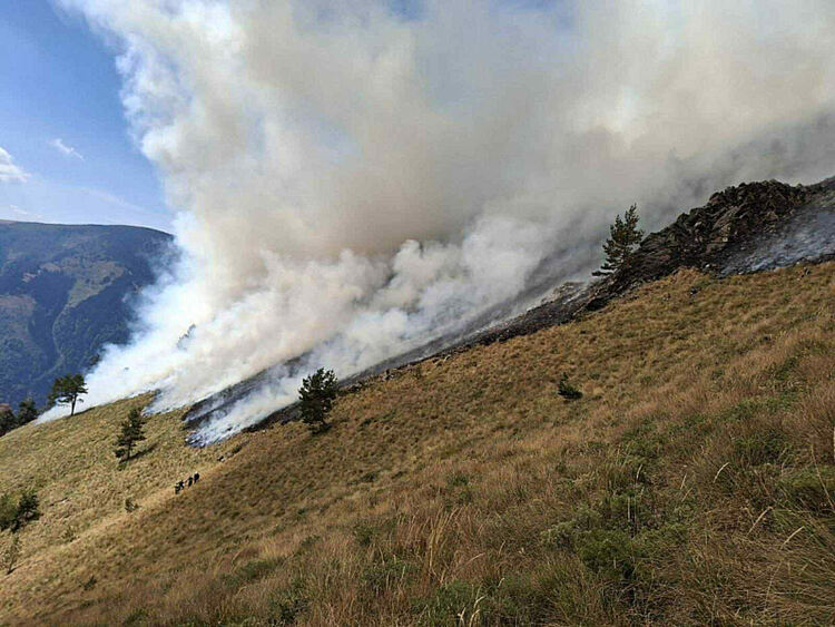  Пожарът в парк „Рилски манастир“ вече обхвана над 700 декара