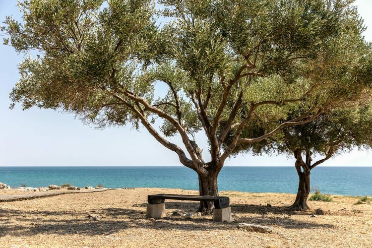 Най-красивите места за плуване на Самотраки