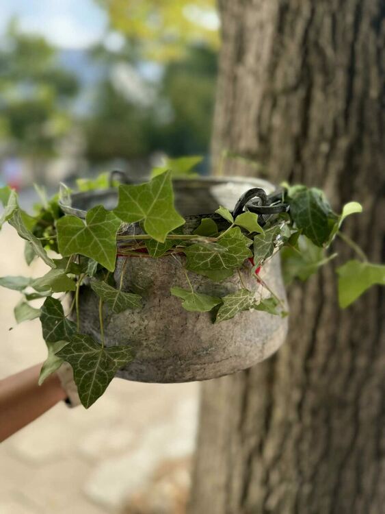 ПГМЕТ – Хасково посрещна своите ученици за 77-и път с надежда и вяра в успешното им бъдеще