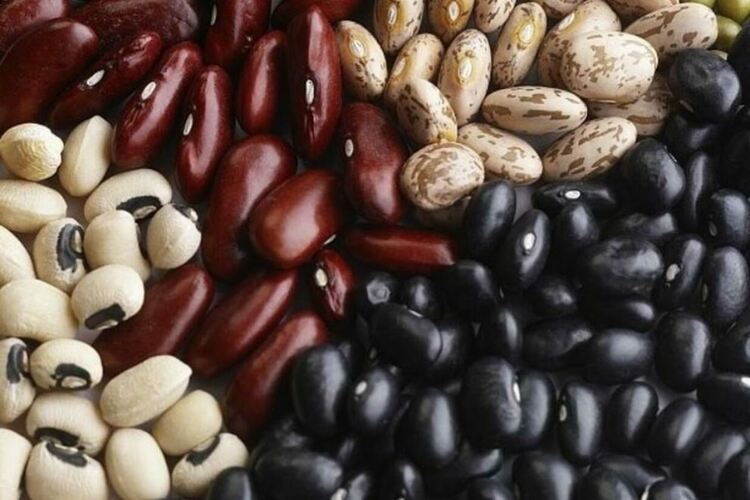 Реколтата от смилянски фасул тази година е значително по-малка