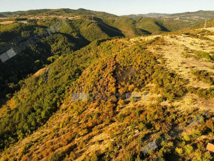 Полицейски новини:Човешка небрежност причини пожар при "Сердика" в Кърджали