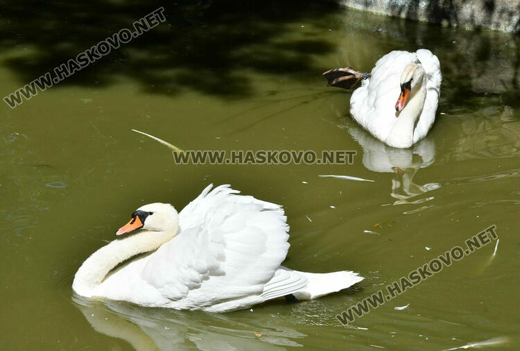 Слънчево и топло време във вторник 