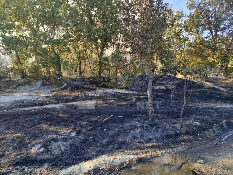 Камион се запали на пътя между Мост и Мъдрец,огънят се пренесе в гората