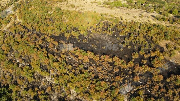 Полицейски новини:Човешка небрежност причини пожар при "Сердика" в Кърджали