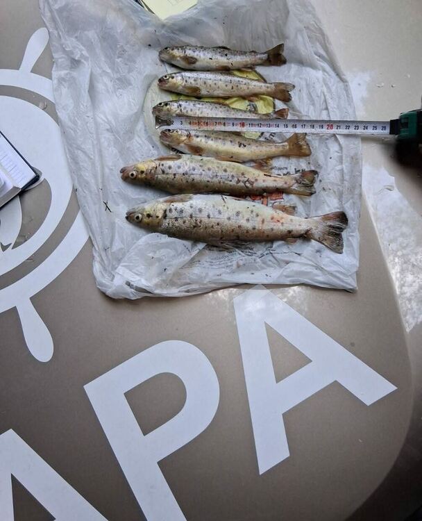 Инспектори на ИАРА санкционираха нарушители при проверки на язовир „Цанков камък“ и река Буйновска