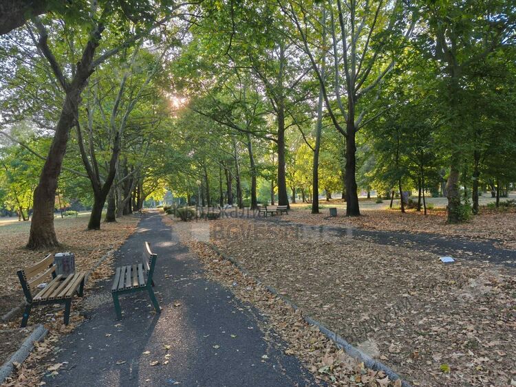 Слънчево и ветровито ще бъде днес в Кърджали