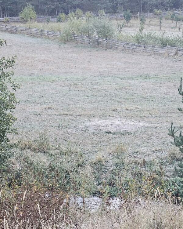 Снимка: Вестник на Община Доспат 