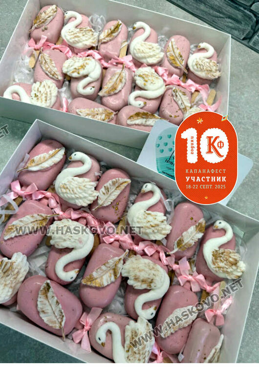 Хасковлийка се включи в базара на „Капана фест“ с бутикови сладки и здравословни изделия