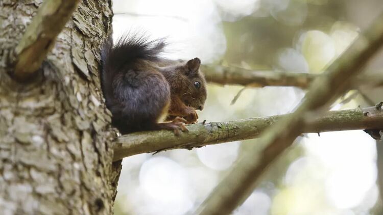 Предимно слънчево в събота, с максимални температури до 30 градуса