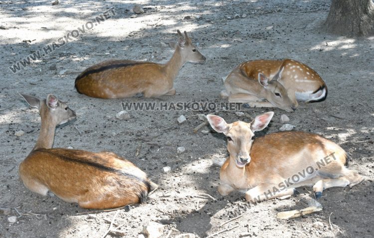 По-топло време в събота, но с променлива облачност
