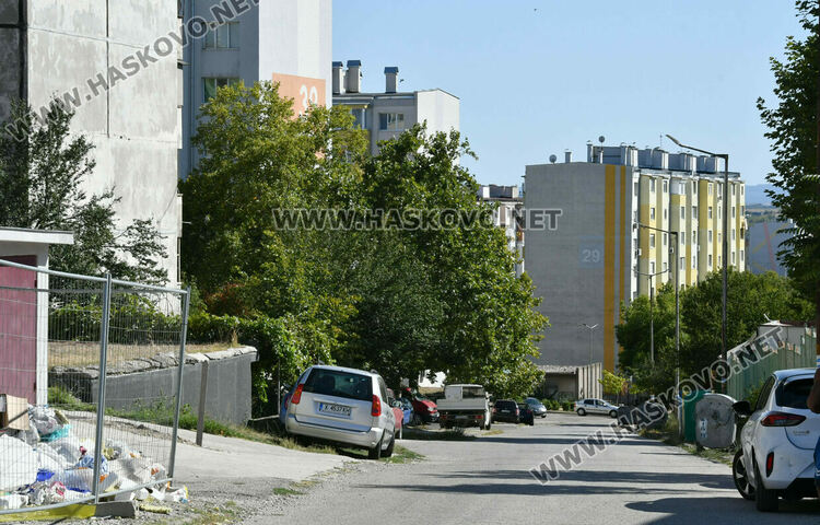 Улица с 6 жилищни блока в кв. „Орфей“ ще носи името на големия поет Ивайло Балабанов