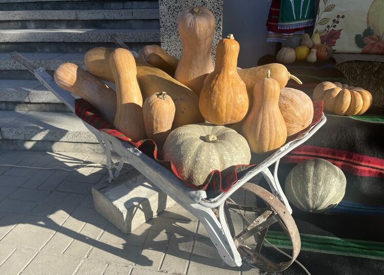 35-килограмова тиква е първенец в „Празникът на тиквата“ в Горски извор