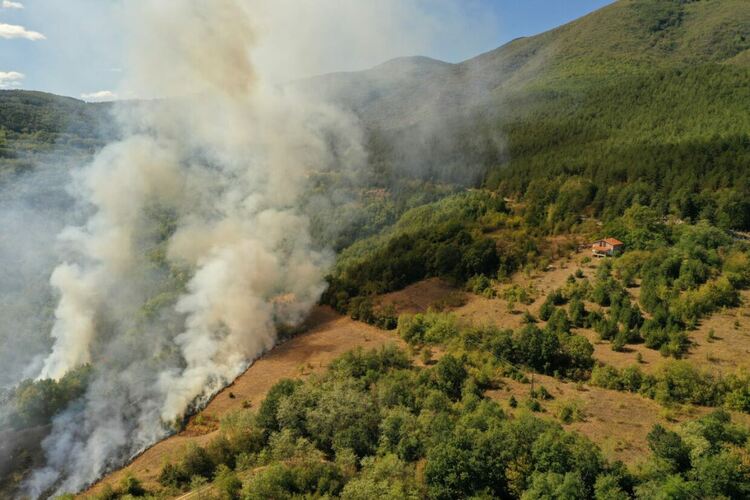 Пожар възникна край Горнослав