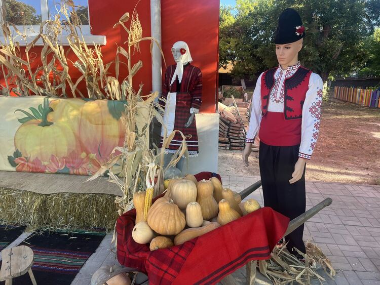 35-килограмова тиква е първенец в „Празникът на тиквата“ в Горски извор