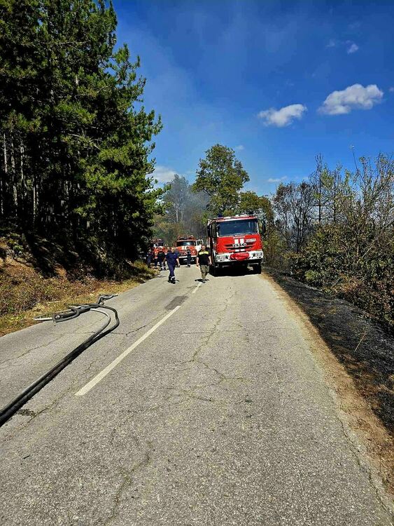 Пожарът край Горнослав се разраства, затвориха пътя към Орешец и Добростан