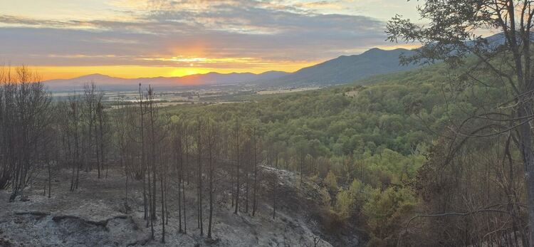 Големият пожар край Горнослав е овладян 