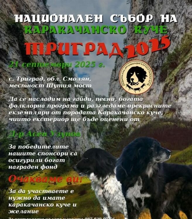 Национален събор в Триград събира любители на фолклора и каракачанското куче
