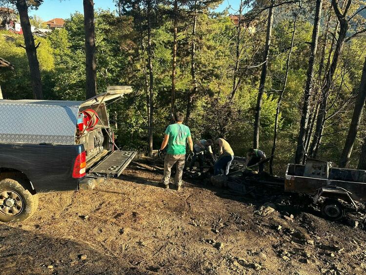 Бърза реакция спаси гората край Смолян от огнената стихия