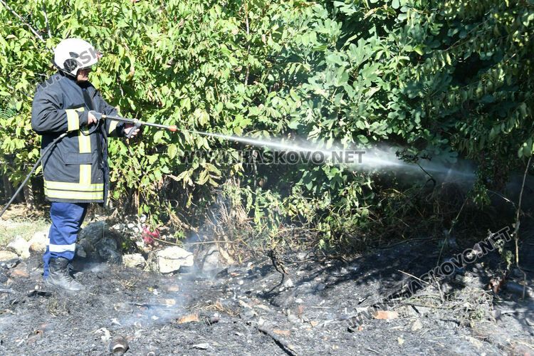 Изгасиха пламнали сухи треви и храсти в кв.„Възраждане“ в Хасково