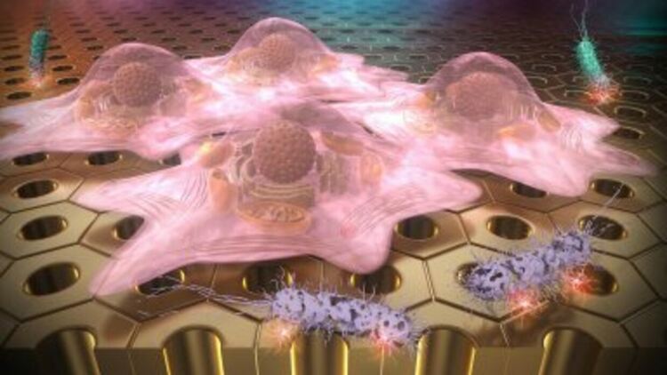 Спорят дали да прекратят изследвания, които могат да унищожат живота на Земята