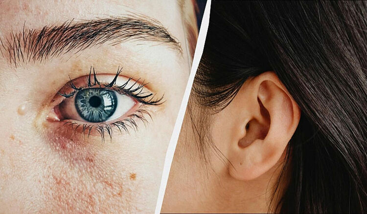 Кои органи са рудиментарни?