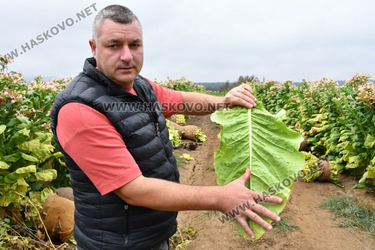 Румен Минчев