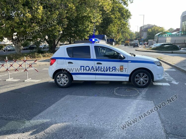 Затвориха бул. „Илинден“ в Хасково заради резитба на стари тополи