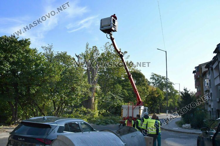 Затвориха бул. „Илинден“ в Хасково заради резитба на стари тополи