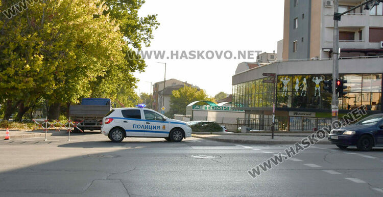 Затвориха бул. „Илинден“ в Хасково заради резитба на стари тополи