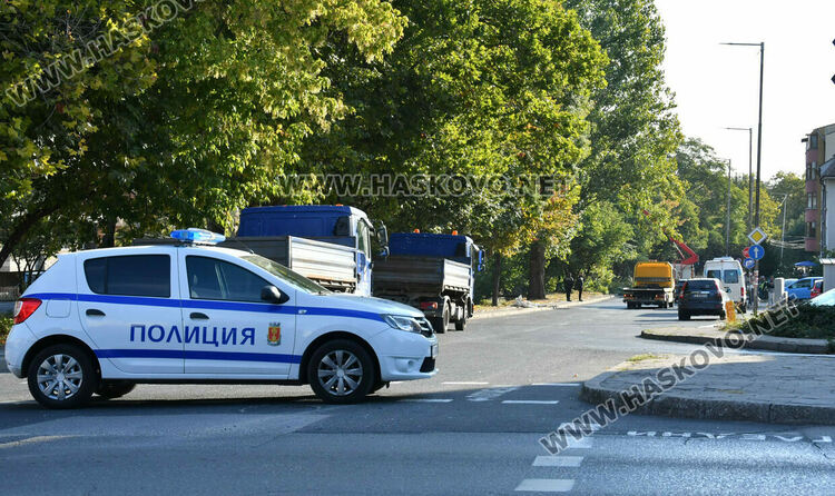 Затвориха бул. „Илинден“ в Хасково заради резитба на стари тополи