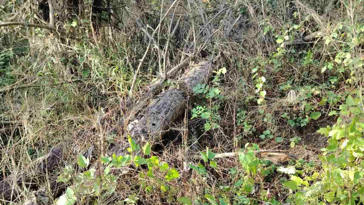 И община Трън обяви бедствено положение