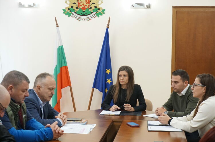 Определиха защитни зони около с. Гарваново заради огнища на шарка по дребния добитък