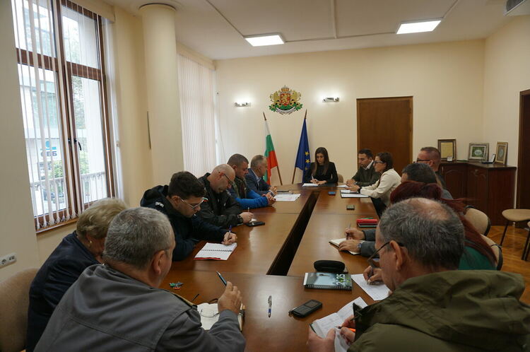 Определиха защитни зони около с. Гарваново заради огнища на шарка по дребния добитък