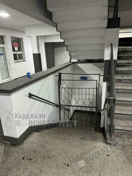   Бездомни кучета,клошари и проститутки населяват Автогарата в Кърджали нощем,оставят я тънеща в боклуци