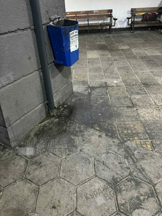   Бездомни кучета,клошари и проститутки населяват Автогарата в Кърджали нощем,оставят я тънеща в боклуци