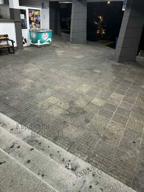   Бездомни кучета,клошари и проститутки населяват Автогарата в Кърджали нощем,оставят я тънеща в боклуци