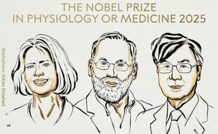 Наградата бе присъдена на трима изследователи за „техните открития относно периферната имунна толерантност“ - Мери Брънкоу (Mary Brunkow), Фред Рамсдел (Fred Ramsdell) и Симон Сакагучи (Shimon Sakaguchi).