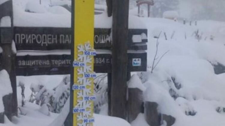 Сняг затрупа планините, 50 см преспи има на Витоша