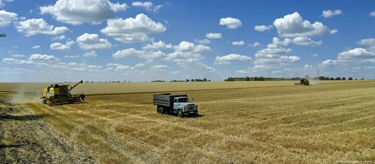 Селските стопани в Украйна говорят за кражба