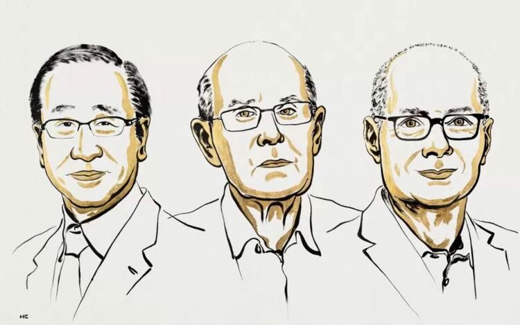 Сусуму Китагава, Ричард Робсън и Омар М. Яги