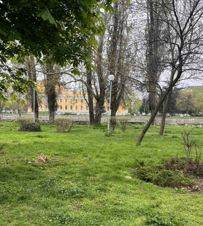 Започва кампанията за безплатно раздаване на фиданки