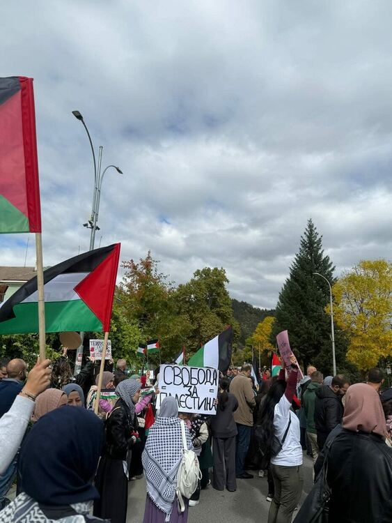 Мирен протест в подкрепа на Палестина събра стотици в Рудозем