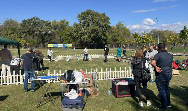 Над 30 померана се борят за трофеите от изложба в Димитровград