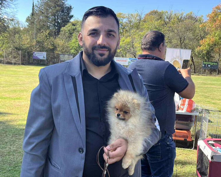 Над 30 померана се борят за трофеите от изложба в Димитровград