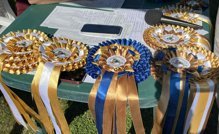 Над 30 померана се борят за трофеите от изложба в Димитровград