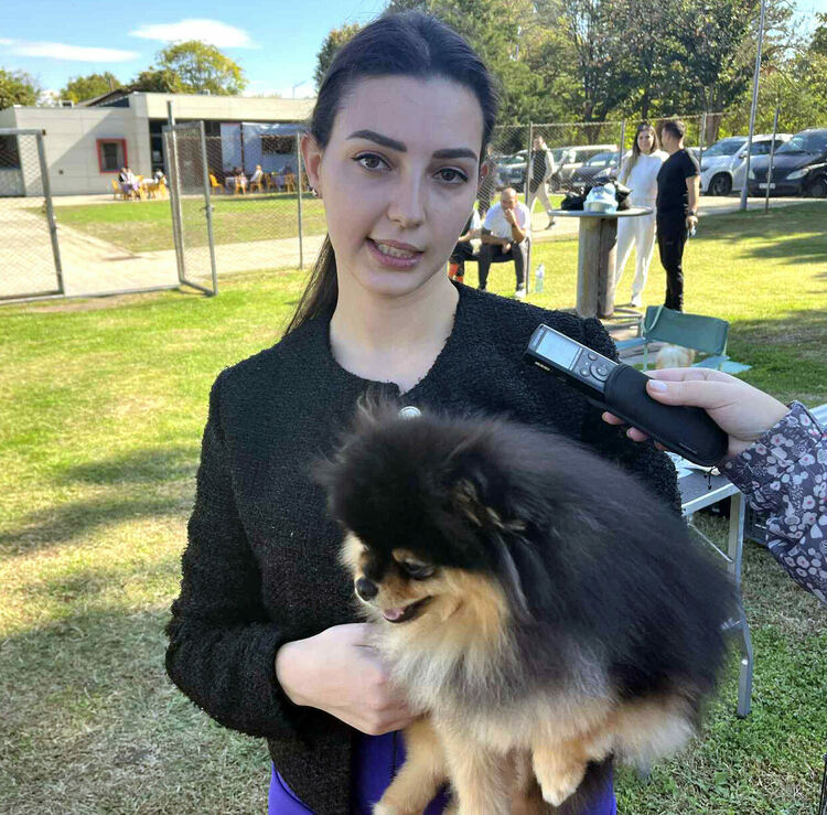 Над 30 померана се борят за трофеите от изложба в Димитровград