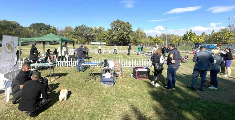 Над 30 померана се борят за трофеите от изложба в Димитровград